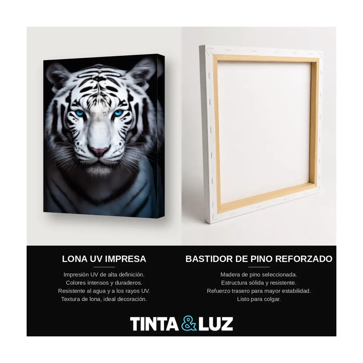 TIGRE BLANCO III