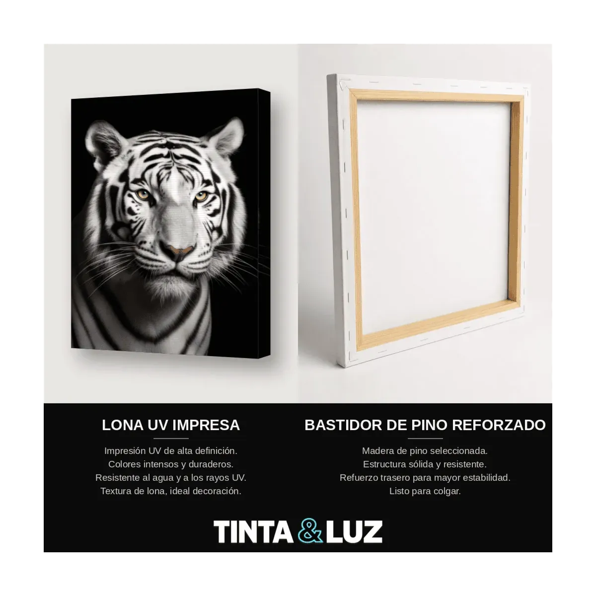 TIGRE BLANCO IV