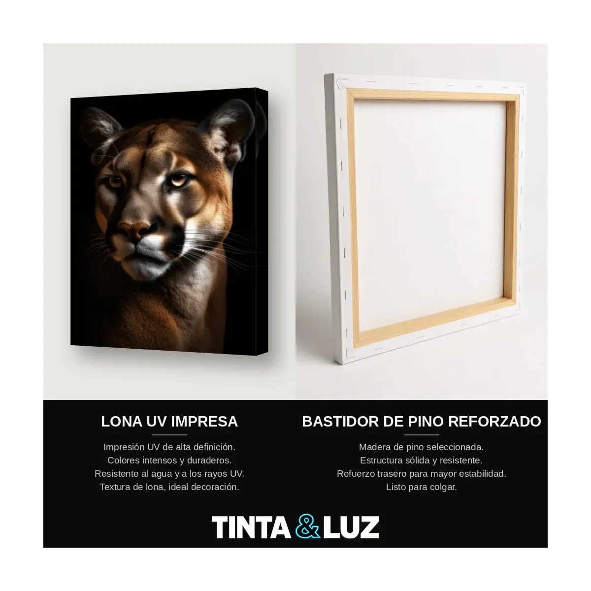 PUMA AL ACECHO