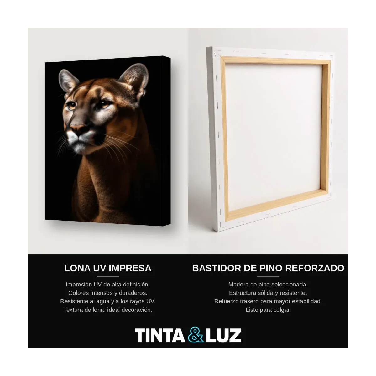 PUMA RETRATO