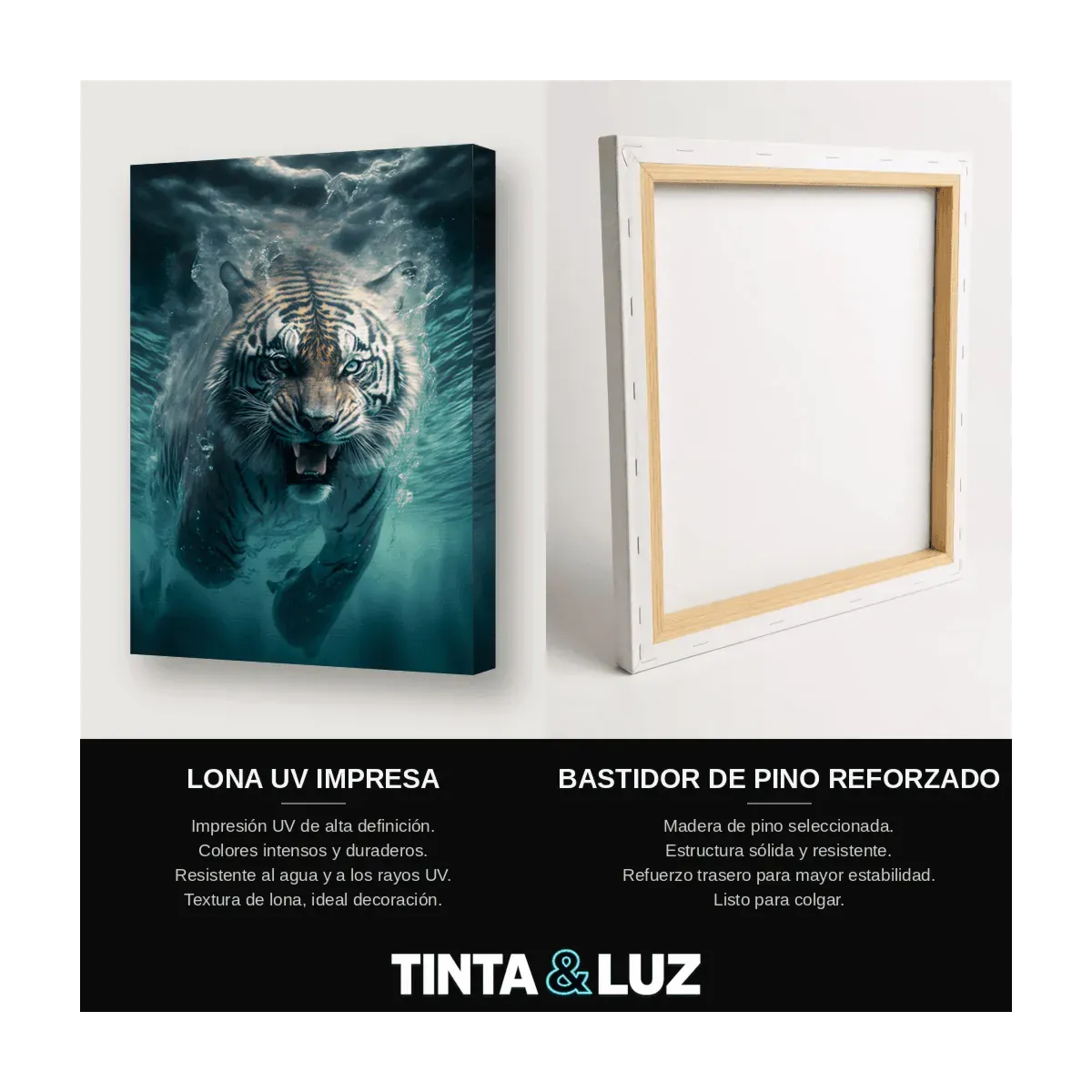 TIGRE EN EL AGUA