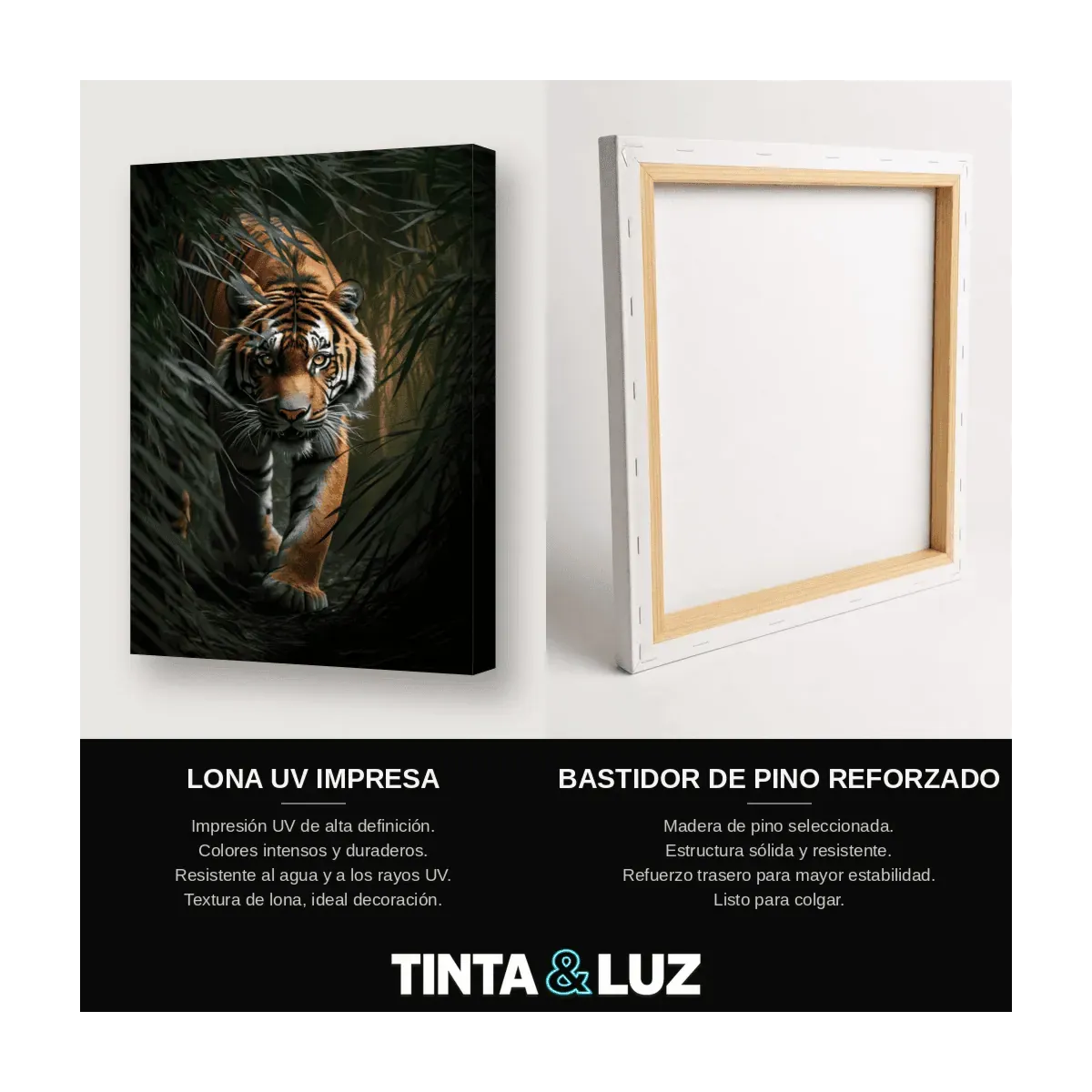TIGRE AL ACECHO