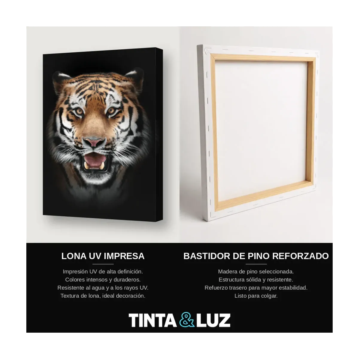 TIGRE RETRATO