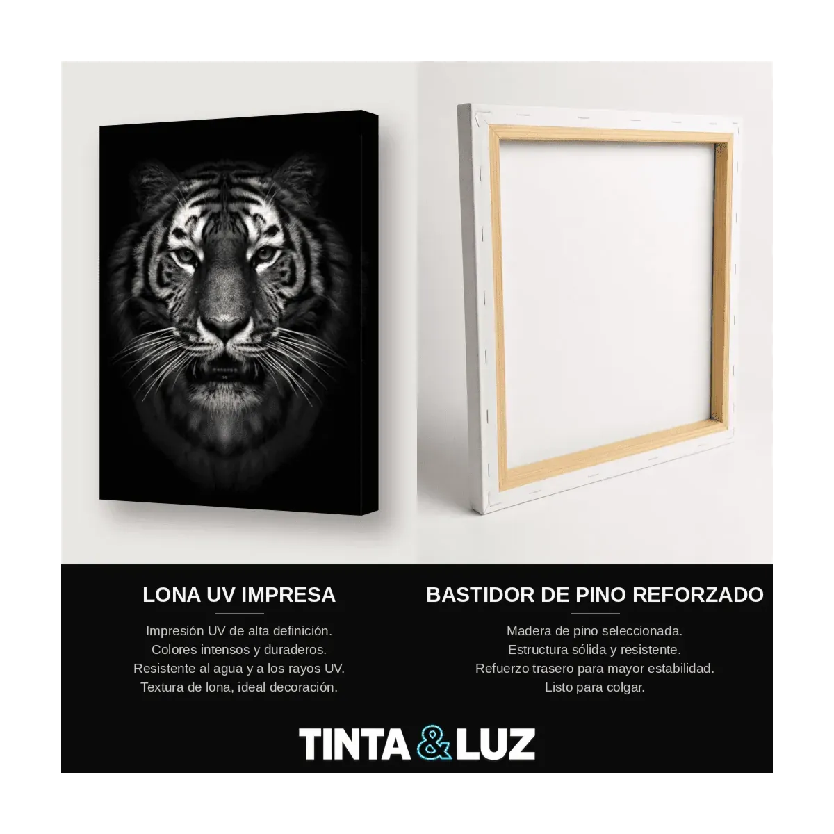 TIGRE B&N