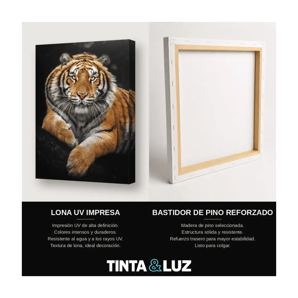 TIGRE EN LA ROCA