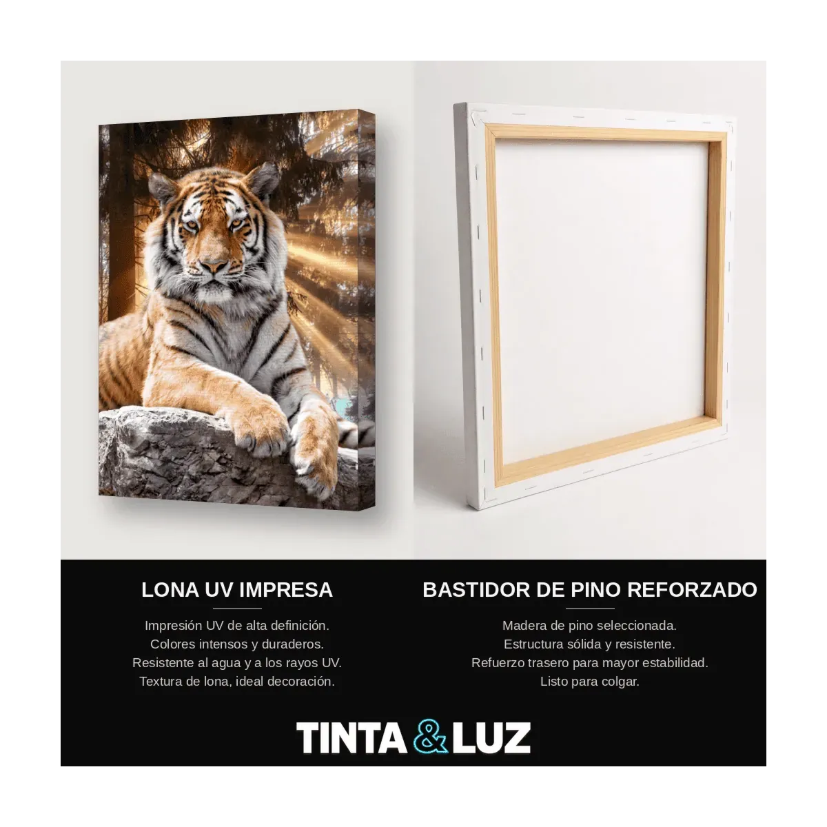 TIGRE RUGIENTE