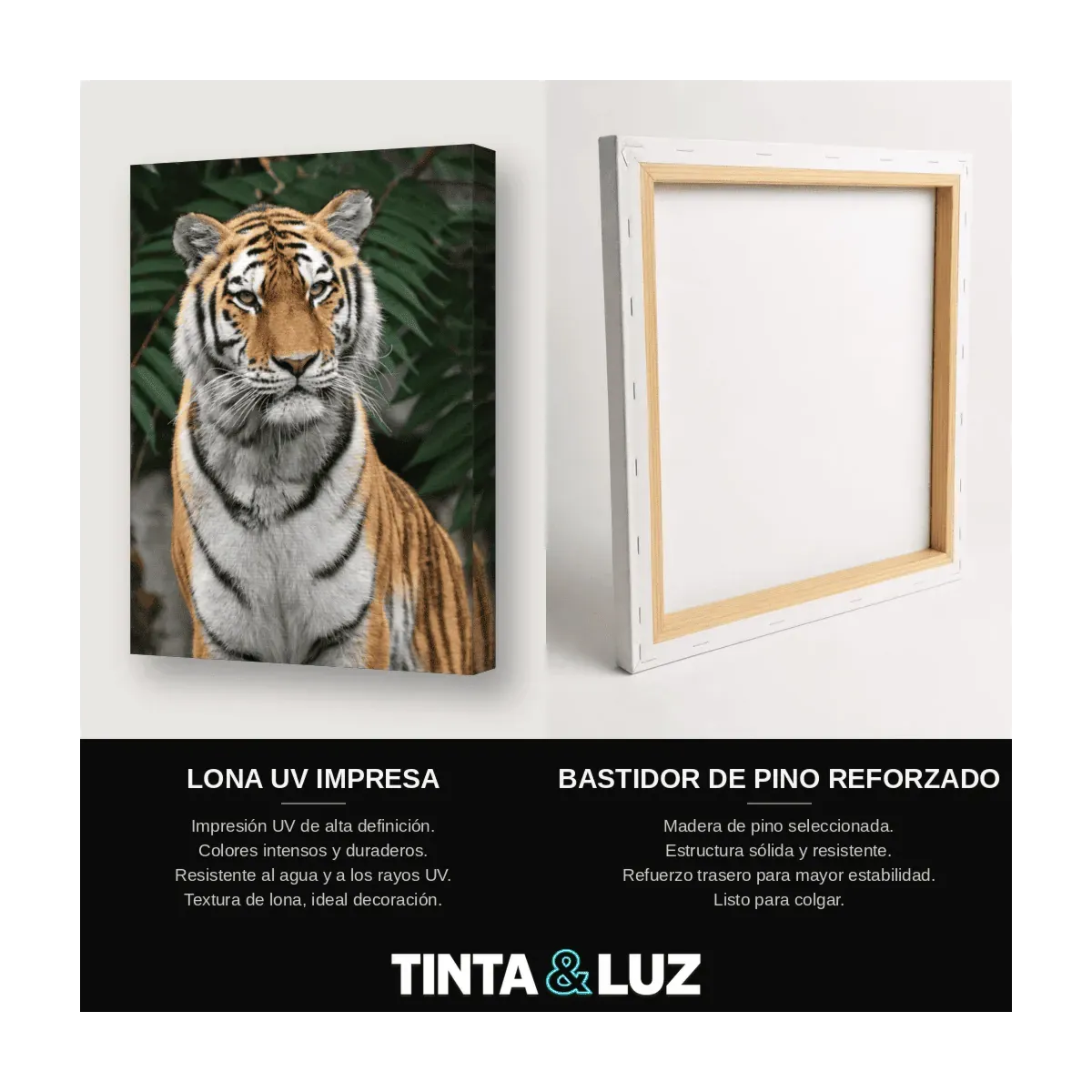 TIGRE MAJESTUOSO