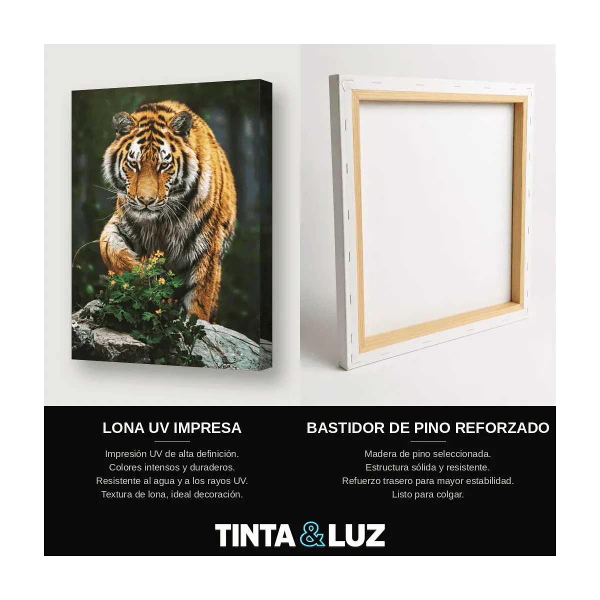TIGRE ENTRE HOJAS