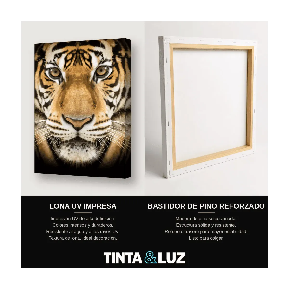TIGRE RETRATO II