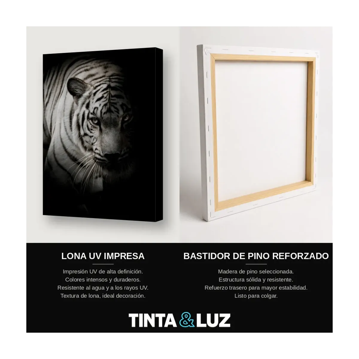 TIGRE BLANCO B&N