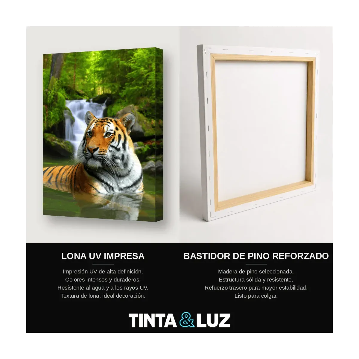 TIGRE Y CASCADA