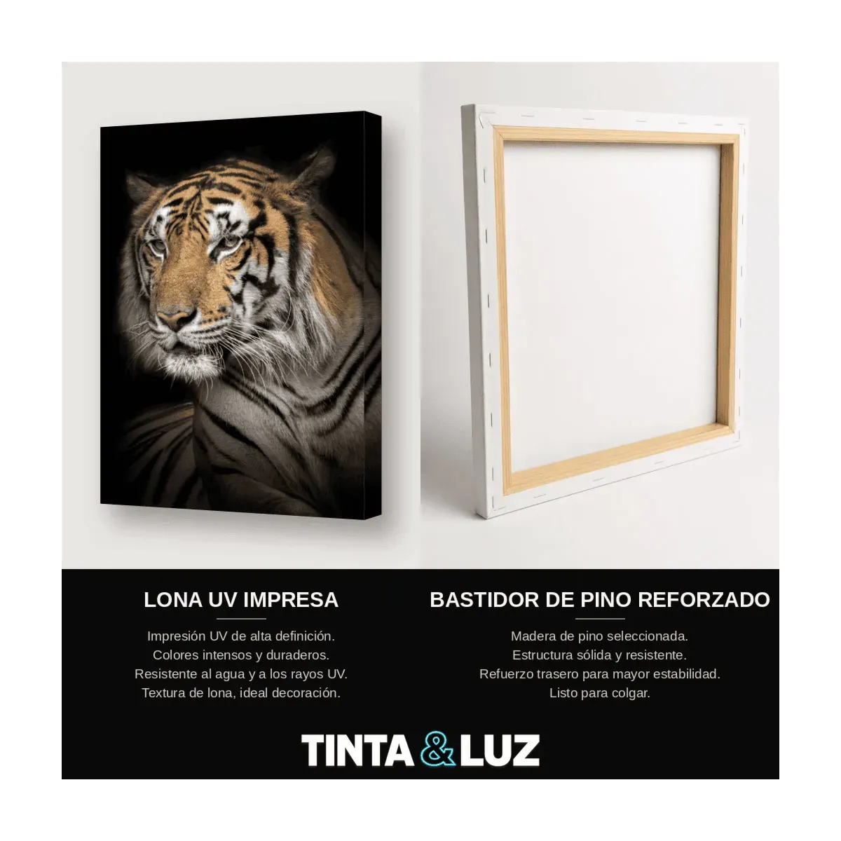 TIGRE EN LA SELVA IV