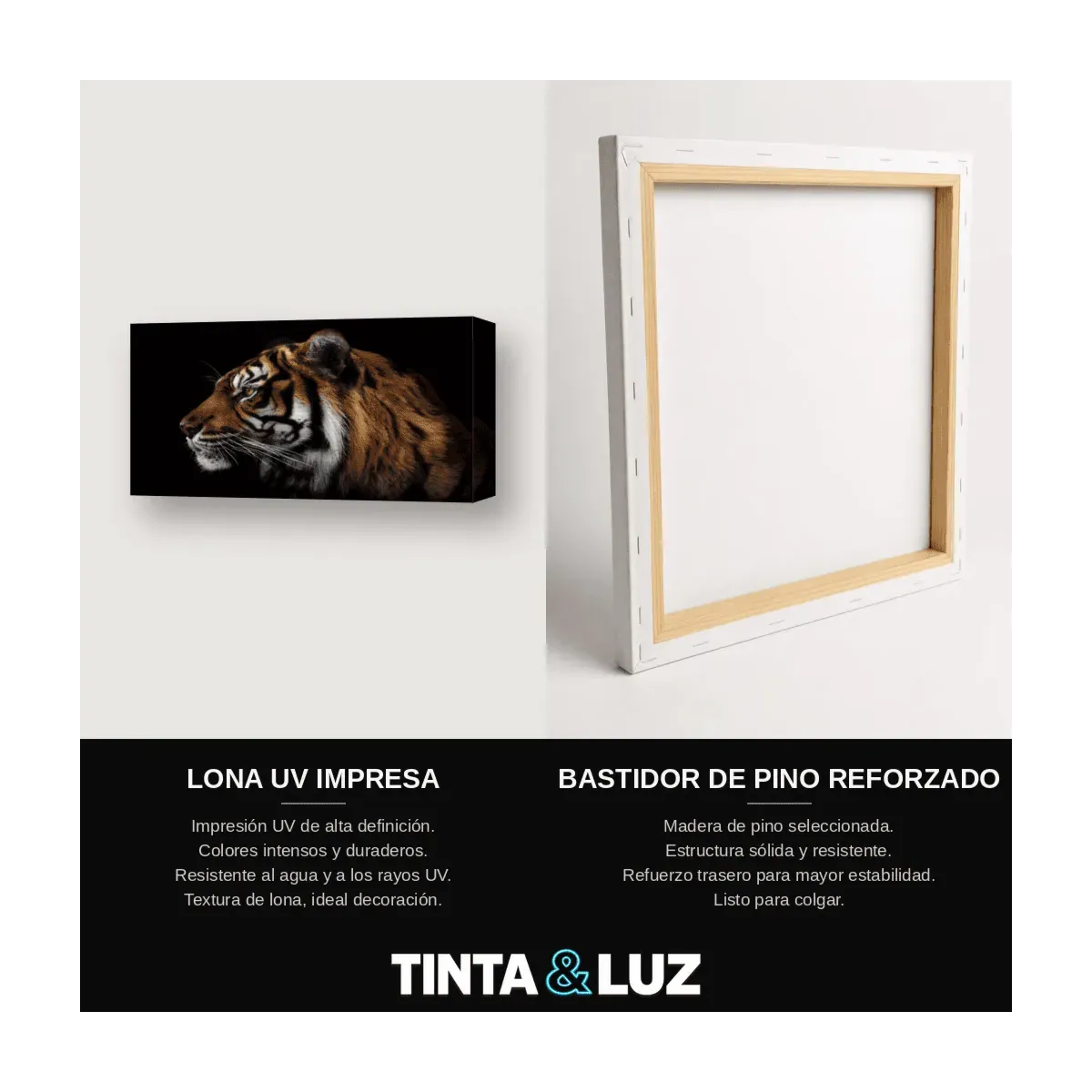 TIGRE PERFIL