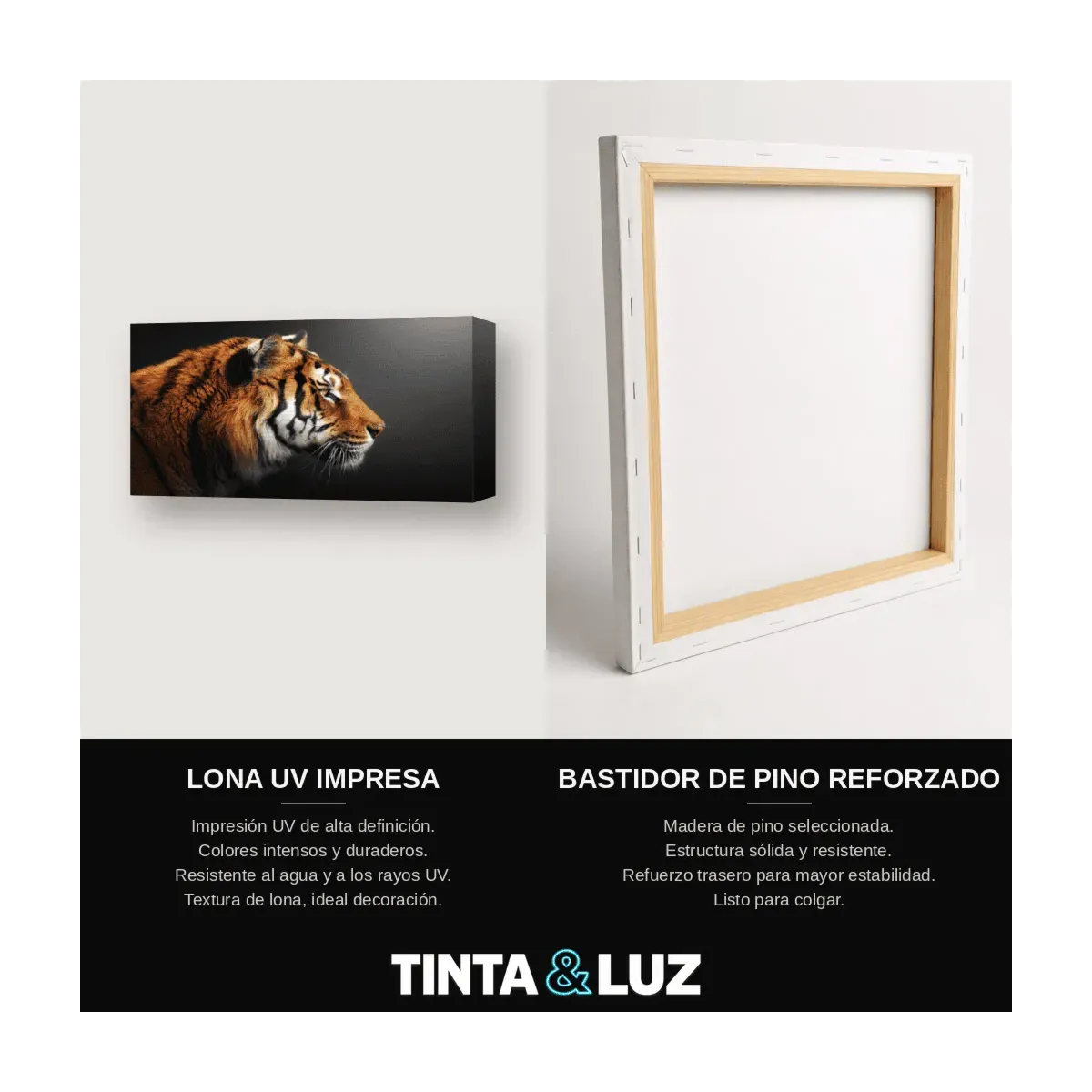 TIGRES JUNTOS