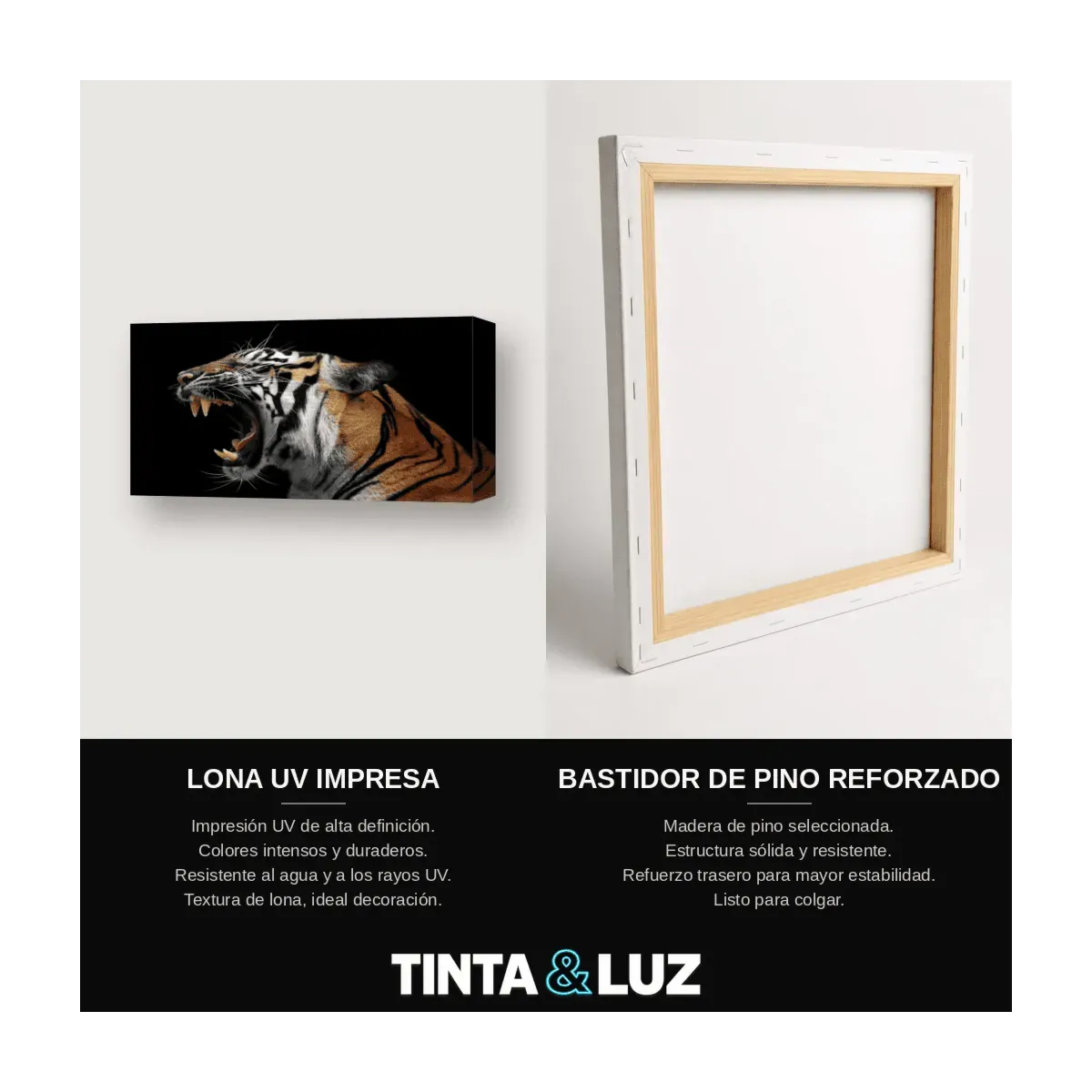 TIGRE RUGIENDO II