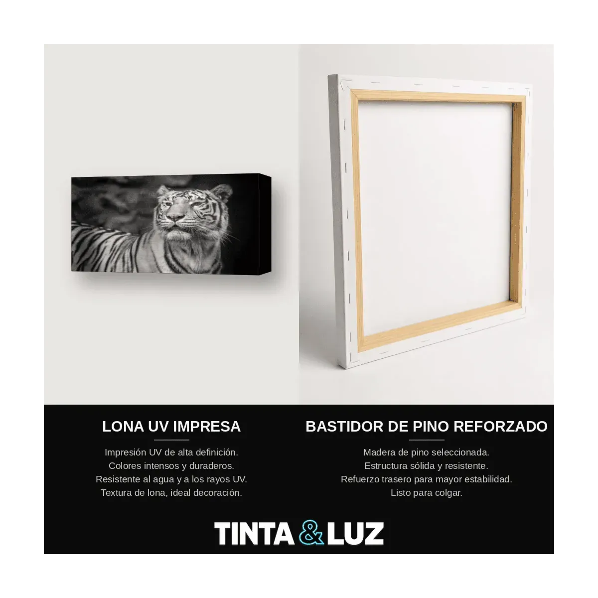 TIGRE BLANCO RETRATO