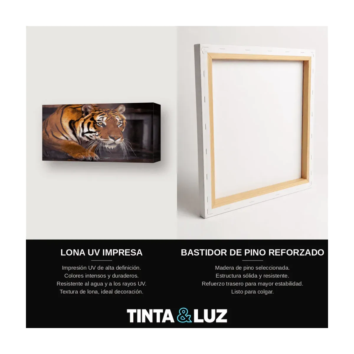 TIGRE FRONTAL II