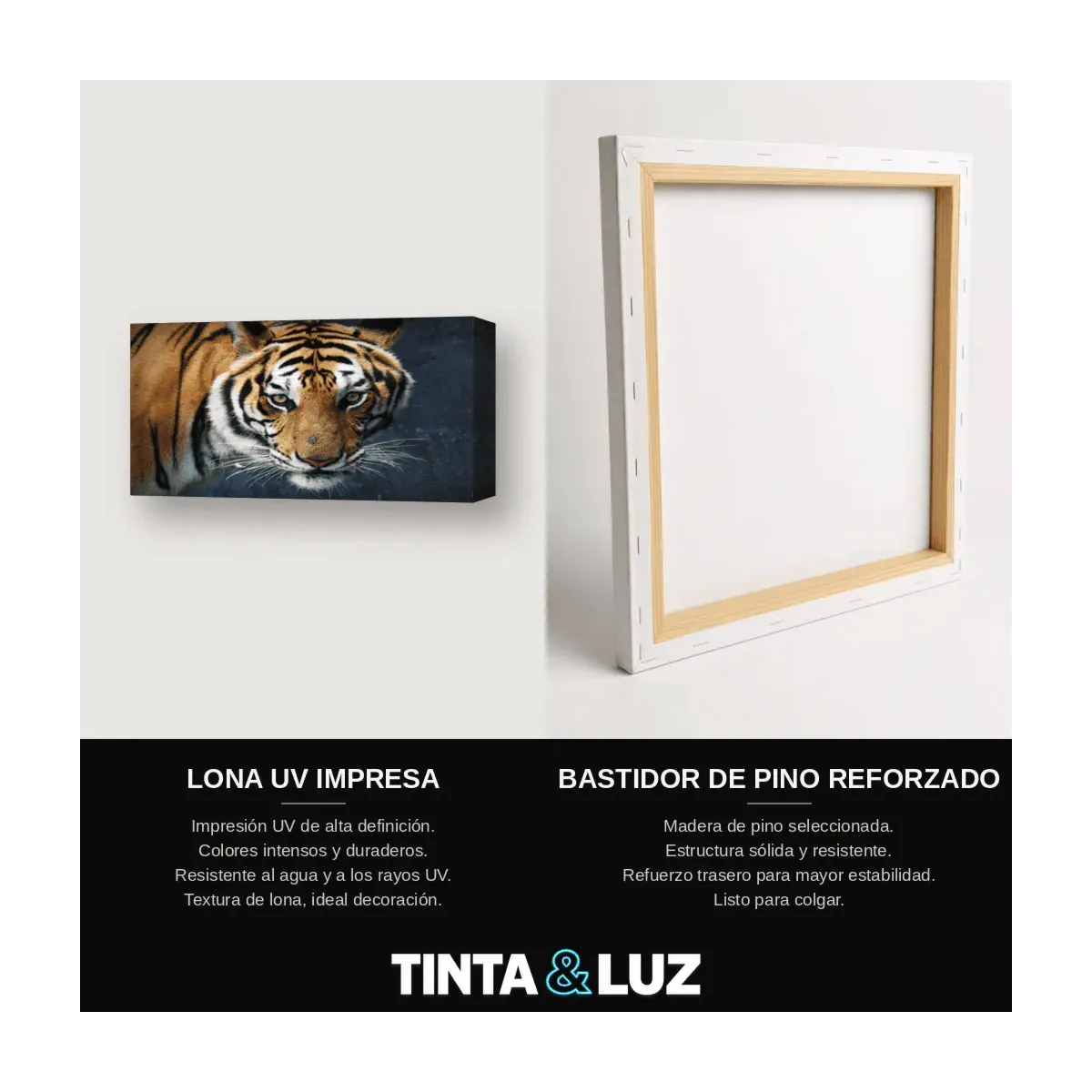 TIGRE MIRADA