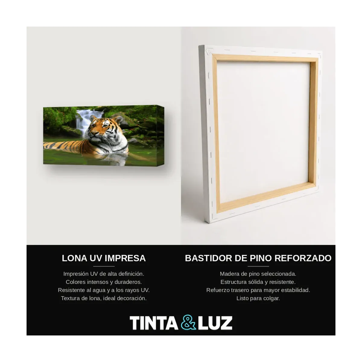 TIGRE EN EL AGUA III
