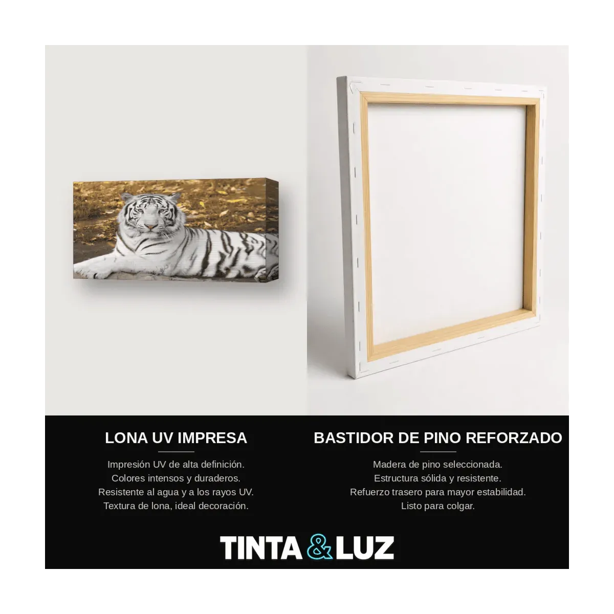 TIGRE BLANCO EN LA HIERBA