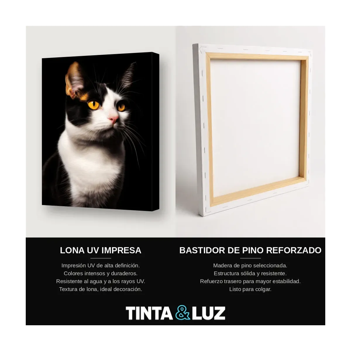 GATO BLANCO Y NEGRO