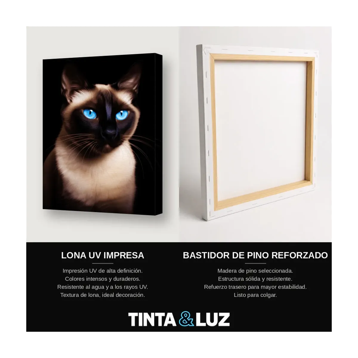 GATO SIAMÉS II