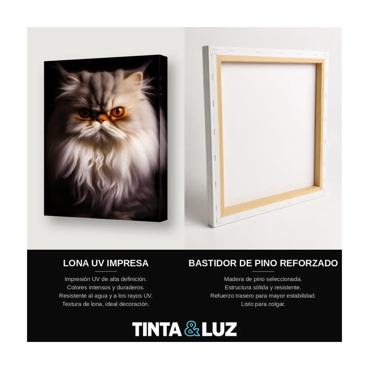 GATO PERSA GRIS