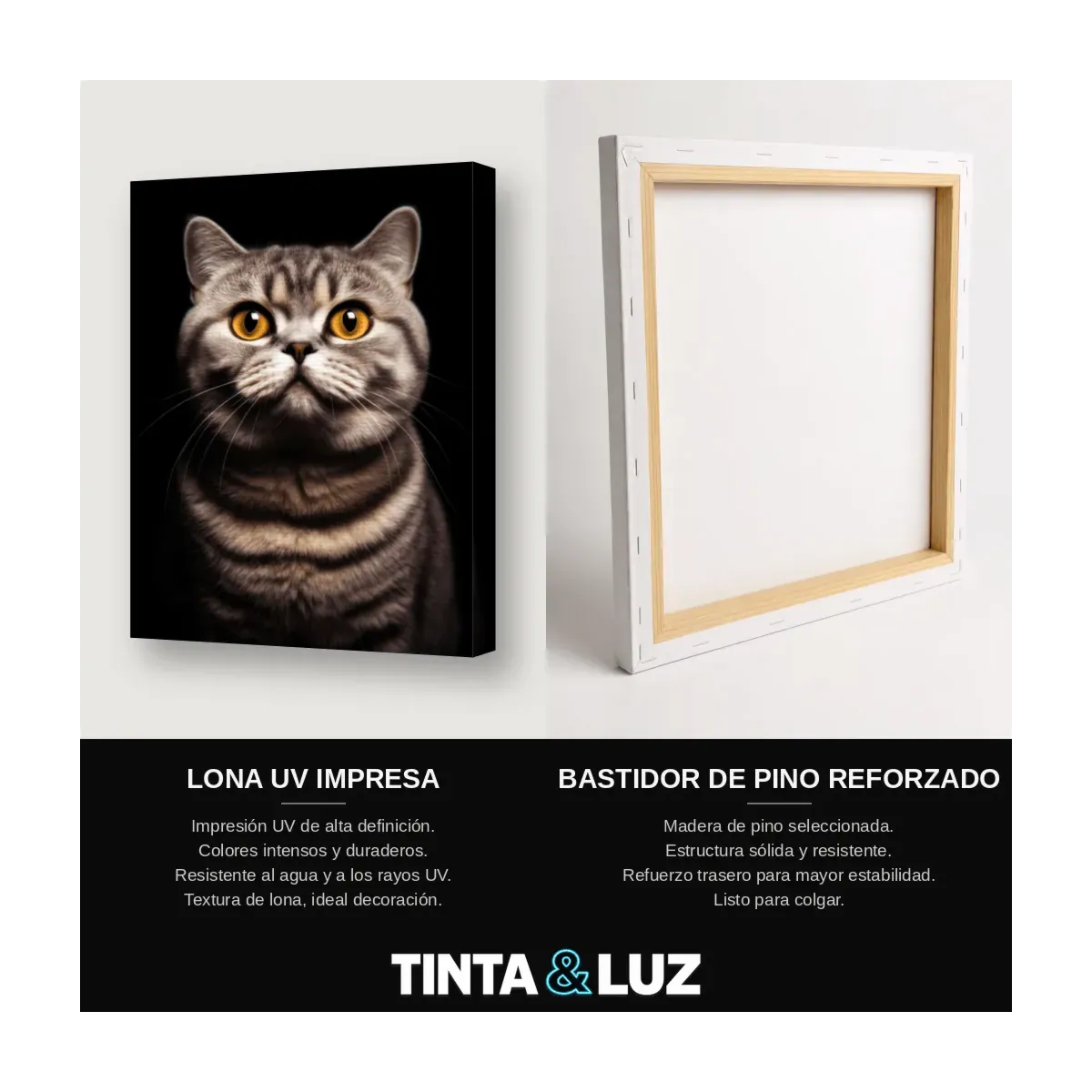 GATO ATIGRADO GRIS