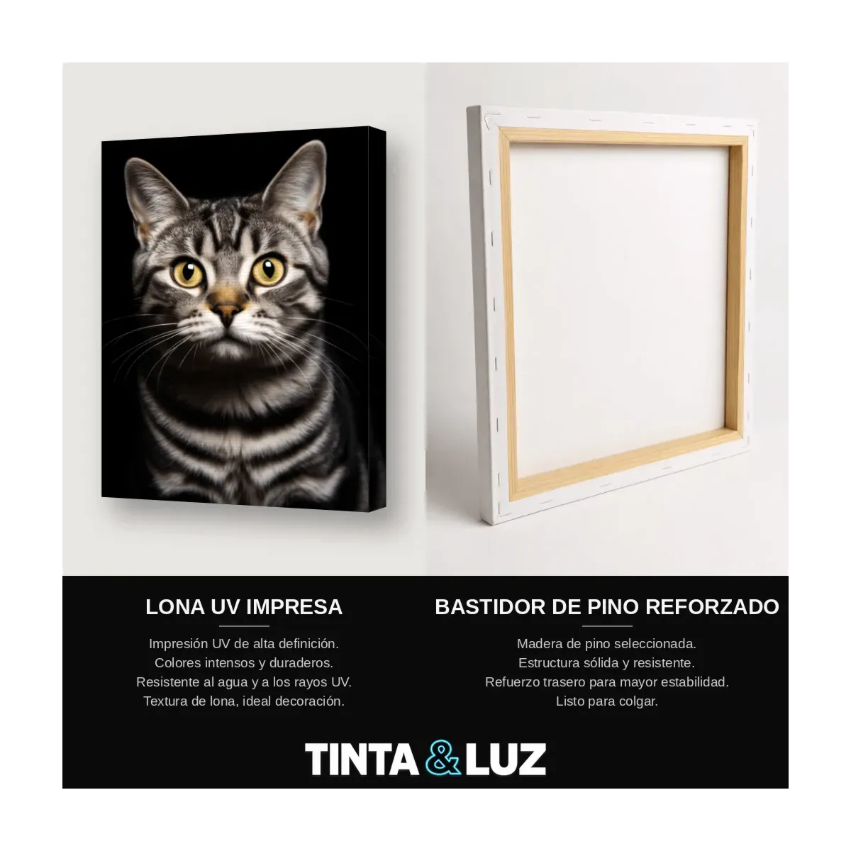 GATO ATIGRADO