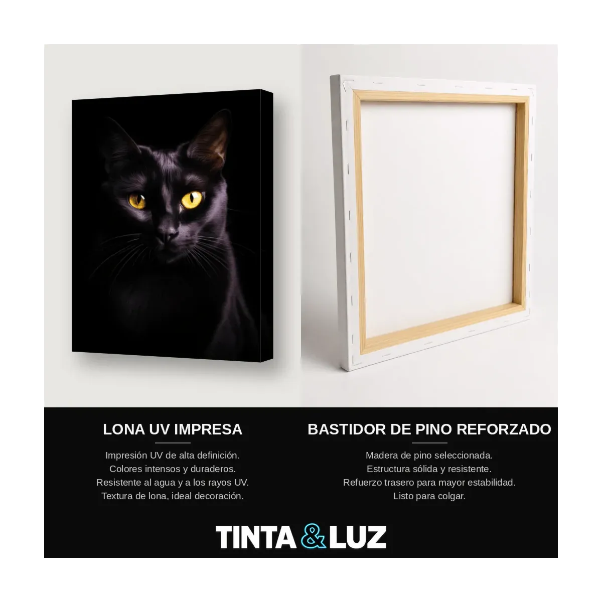 GATO NEGRO OJOS DORADOS