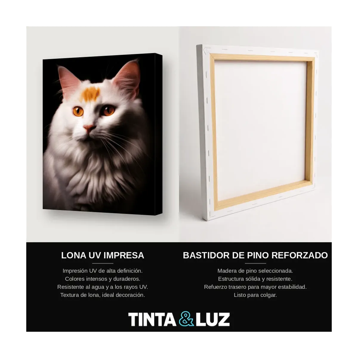 GATO BLANCO ESPONJOSO