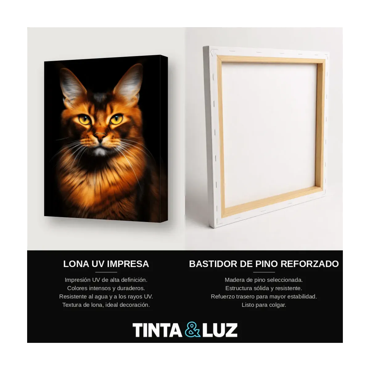 GATO NARANJA ESPONJOSO