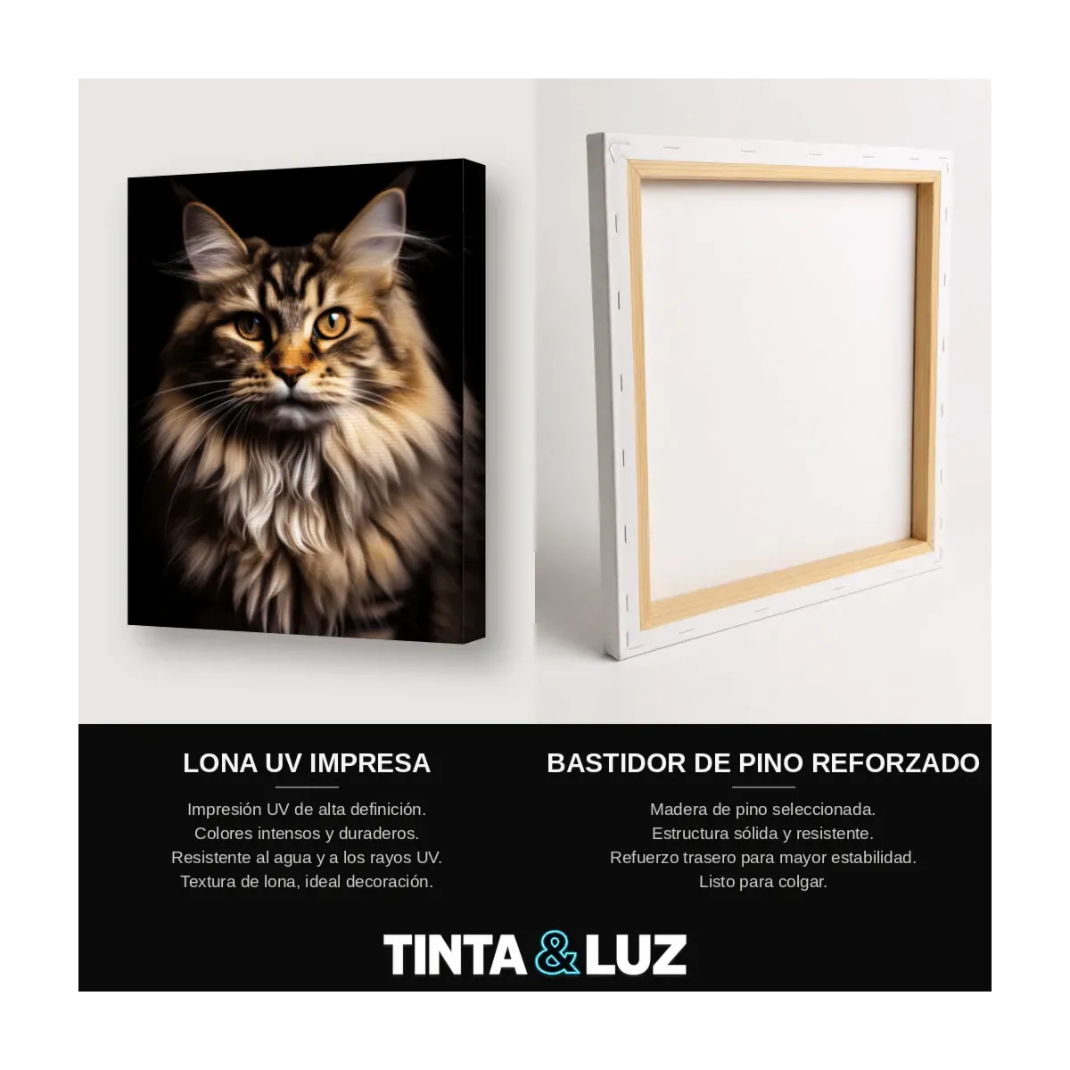 GATO ROJIZO