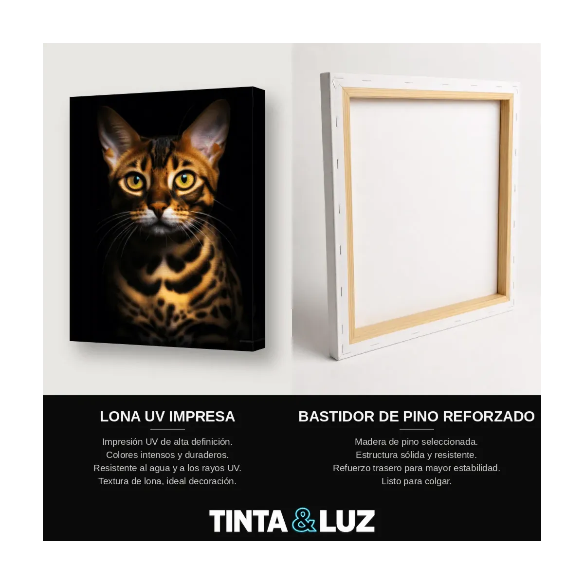 GATO BENGALÍ II