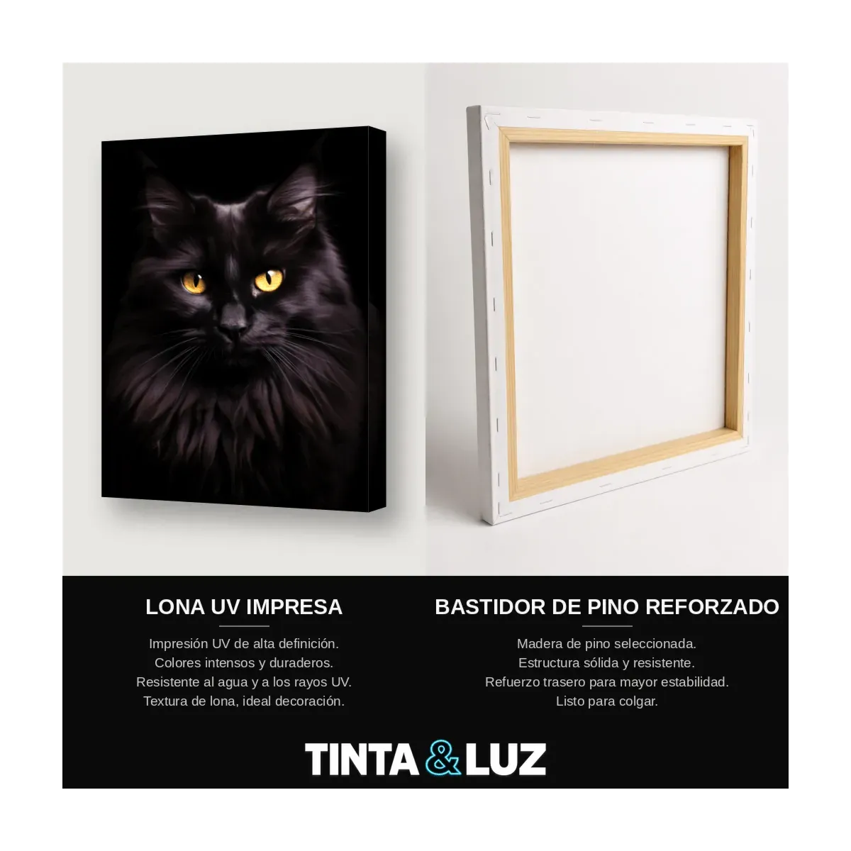 GATO NEGRO ELEGANTE