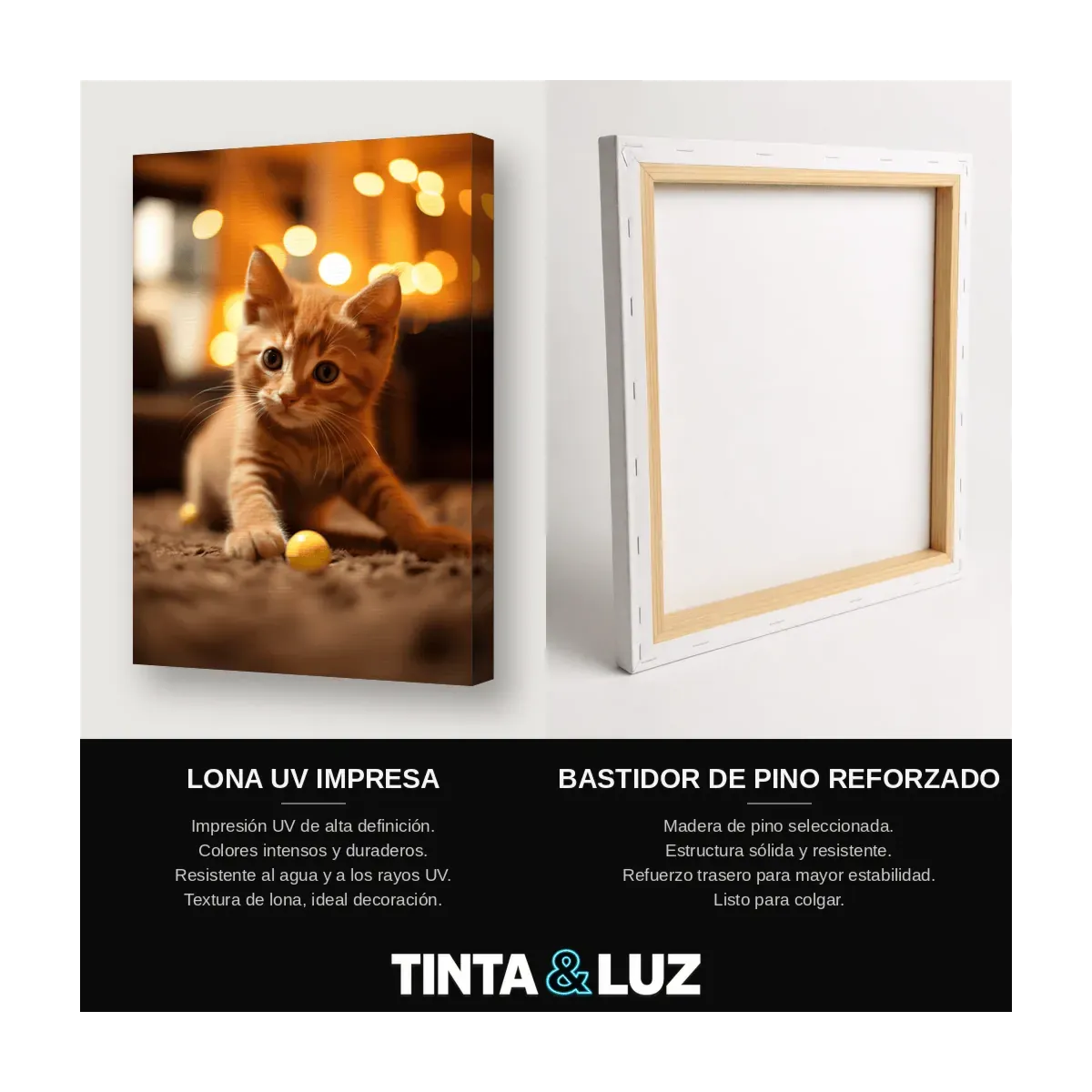 GATITO JUGUETÓN