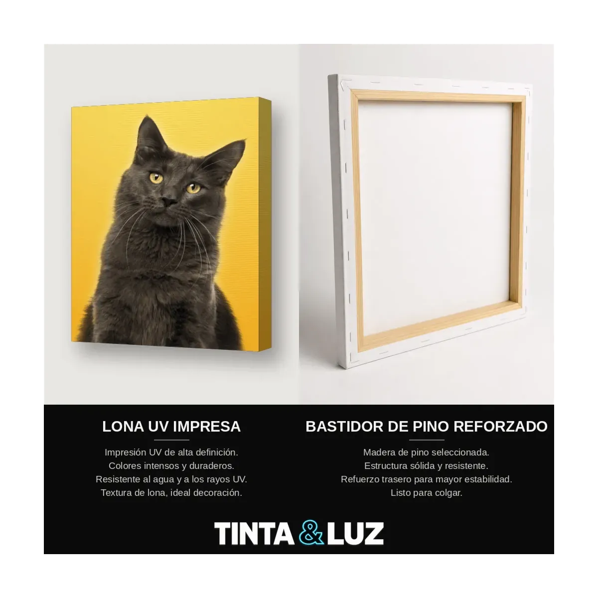 GATO AZUL FONDO AMARILLO