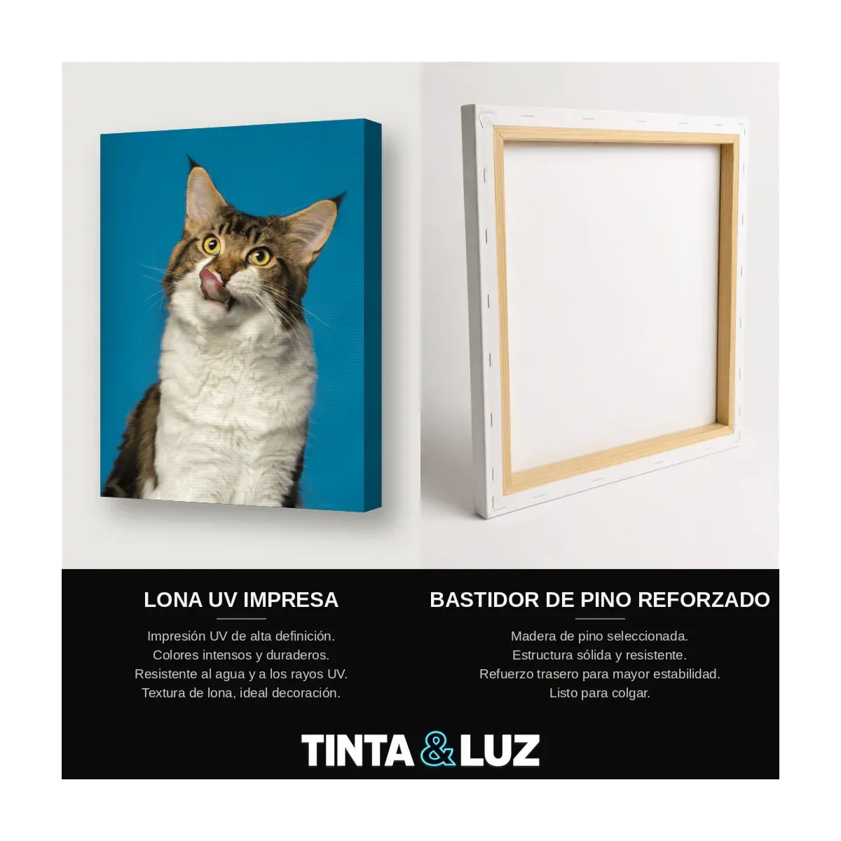GATO ATIGRADO LENGUA