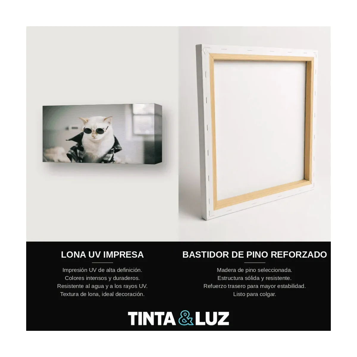 GATITO ESPONJOSO