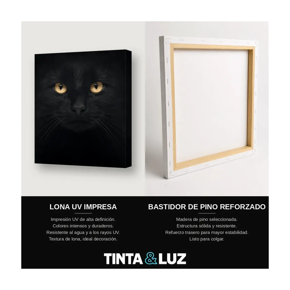 GATO NEGRO MISTERIOSO