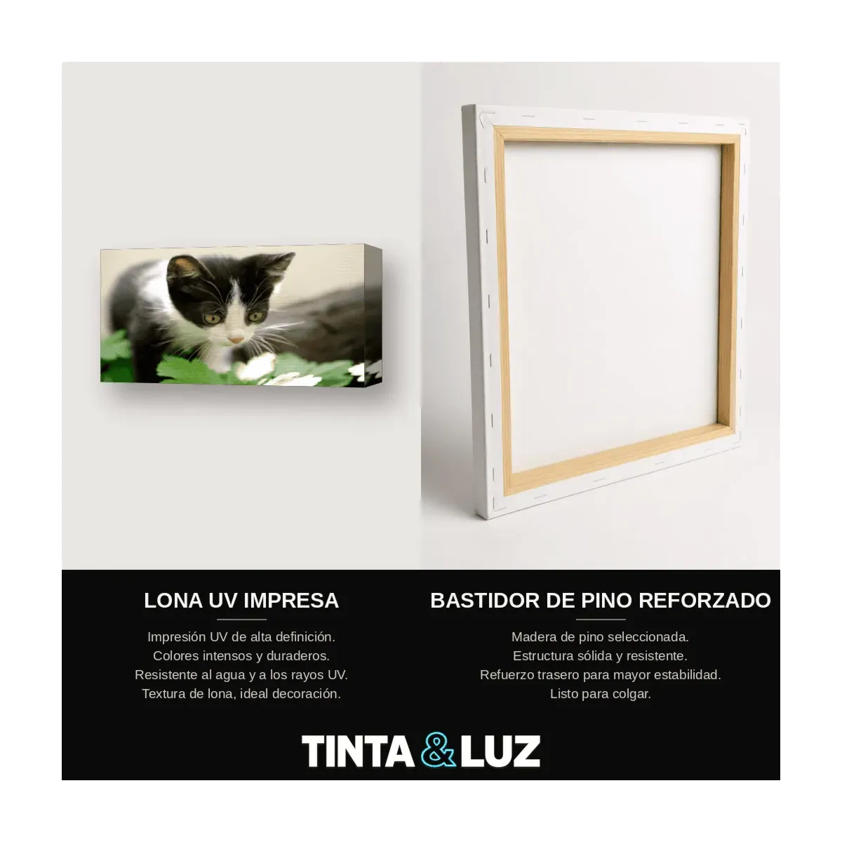 GATO GRIS OJOS DORADOS