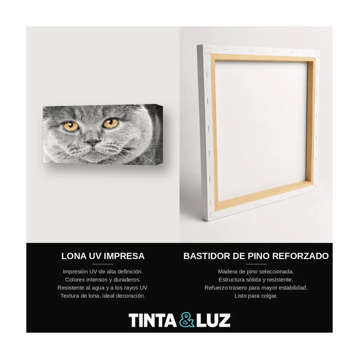 GATA Y CRÍAS