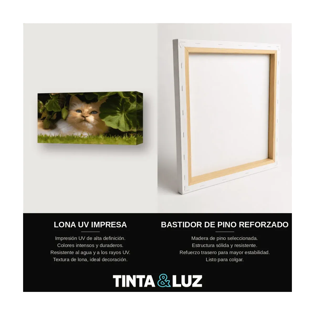 GATITO ATIGRADO