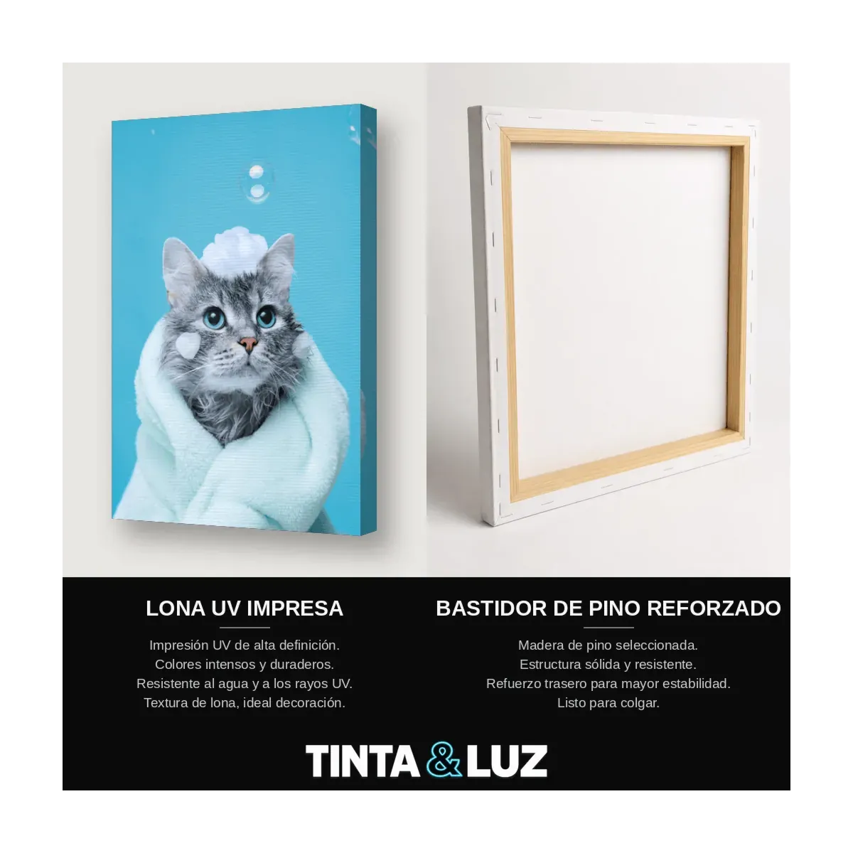 GATO GRIS Y BLANCO