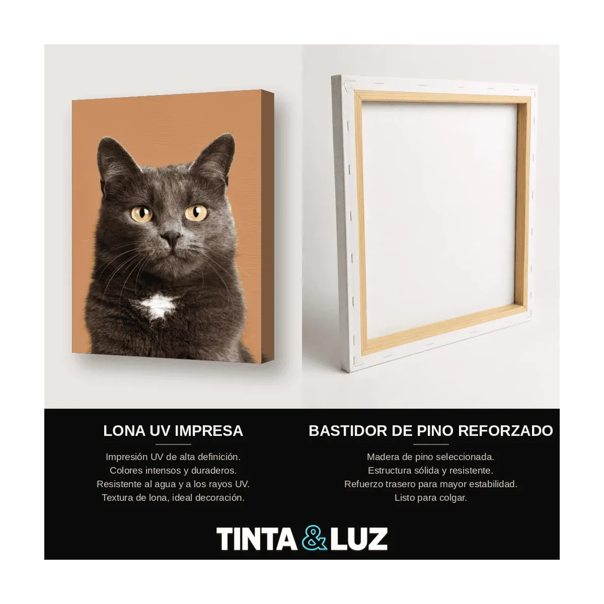 GATO BLANCO ESPONJOSO II