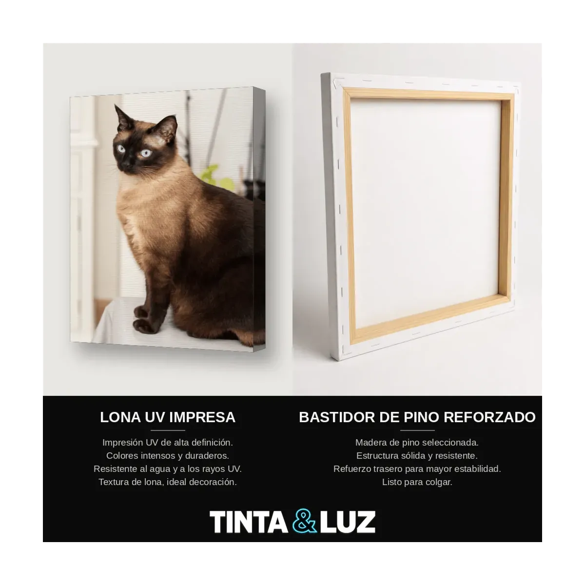 GATO ESFINGE II