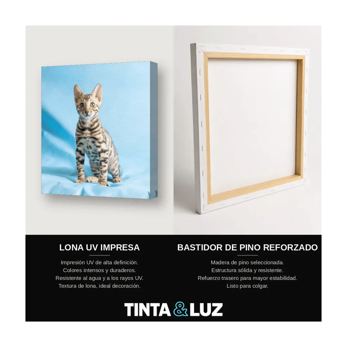 GATO GRIS PENSATIVO
