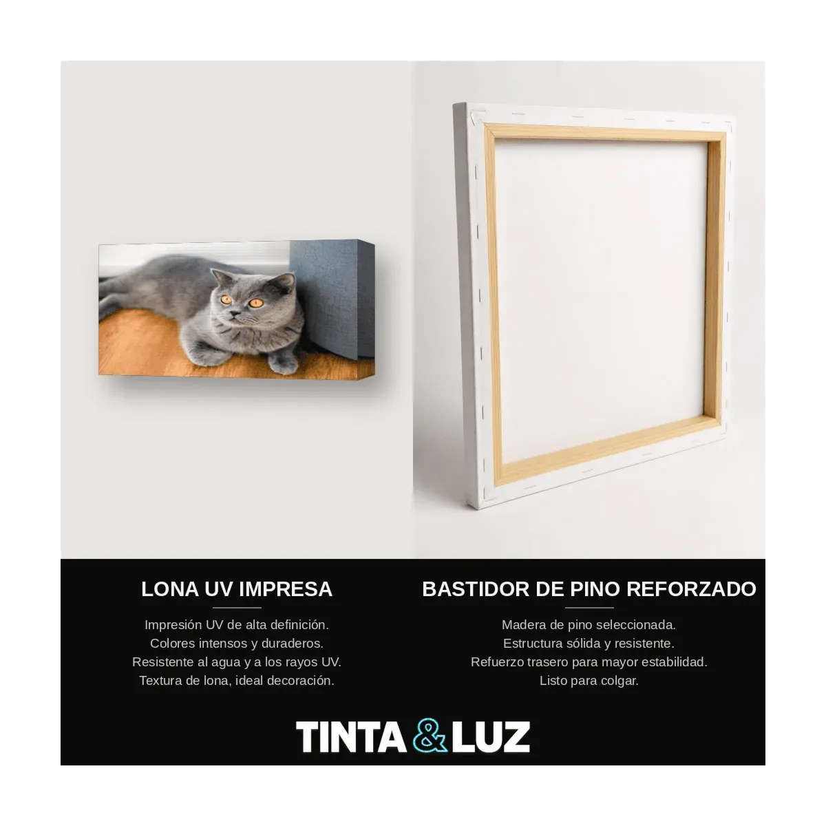 GATO BLANCO Y NEGRO V