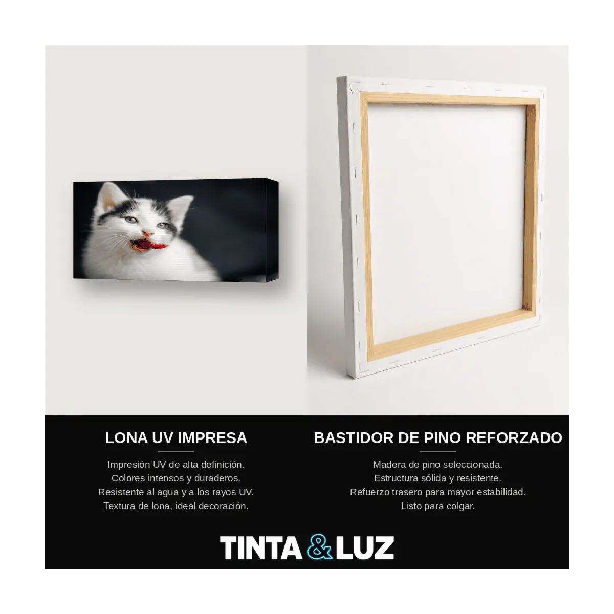 GATO PERSA ESPONJOSO