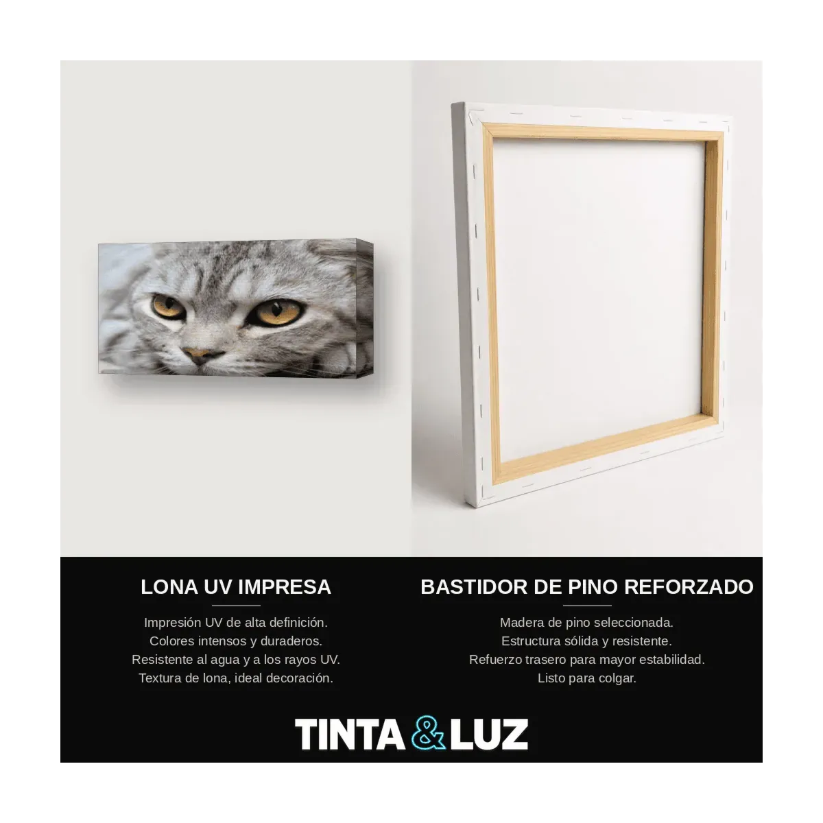 GATO GRIS OJOS VERDES